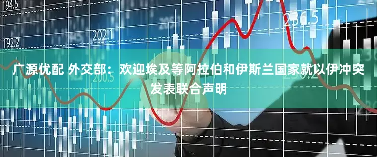 广源优配 外交部：欢迎埃及等阿拉伯和伊斯兰国家就以伊冲突发表联合声明