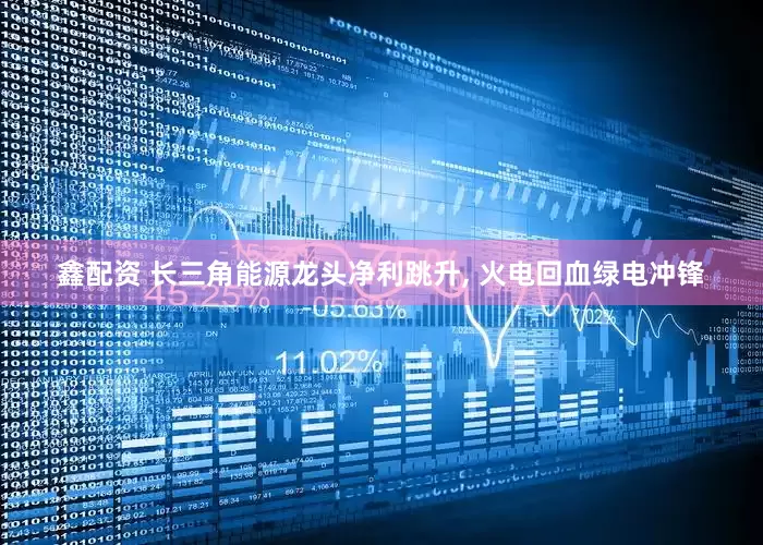 鑫配资 长三角能源龙头净利跳升, 火电回血绿电冲锋